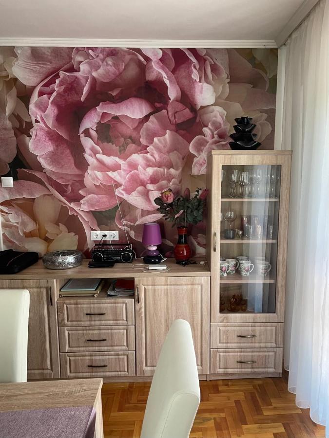 Rozsa Nyaralohaz Villa Balatonboglár Exterior foto