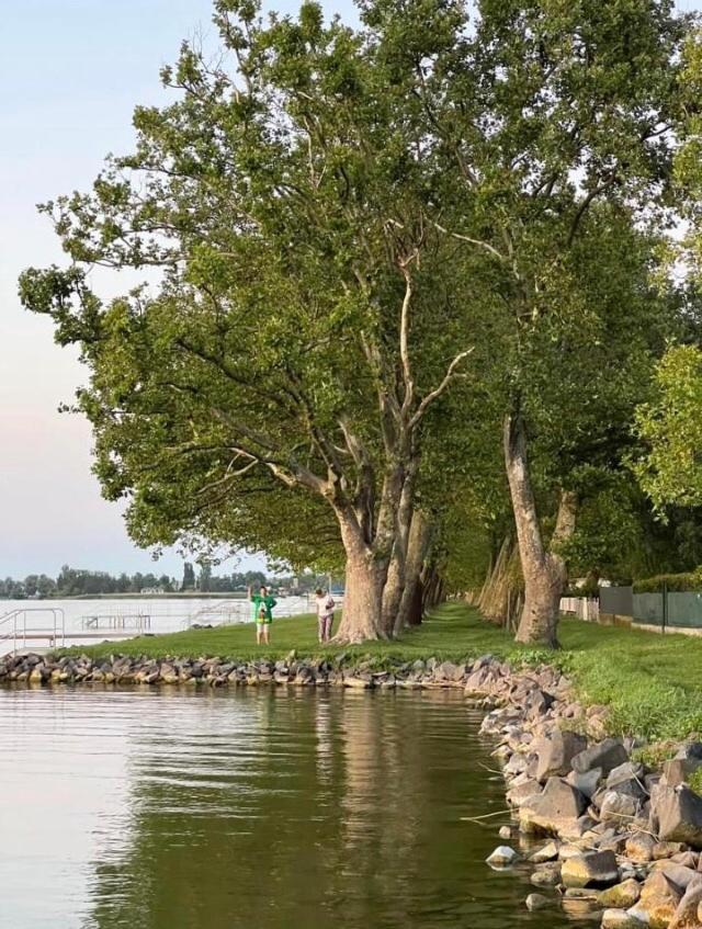Rozsa Nyaralohaz Villa Balatonboglár Exterior foto